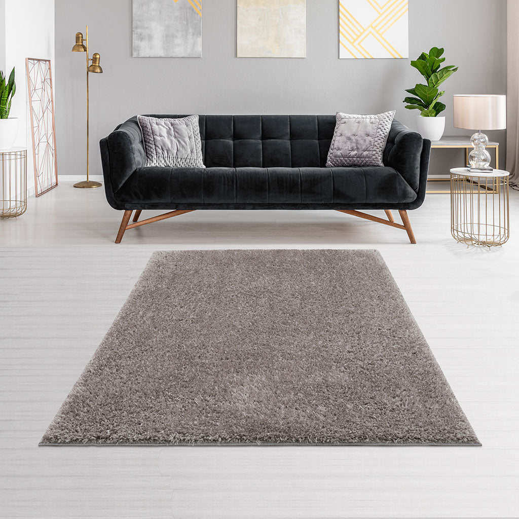 Oamwrae Super Soft Polyester Shag Area Rug